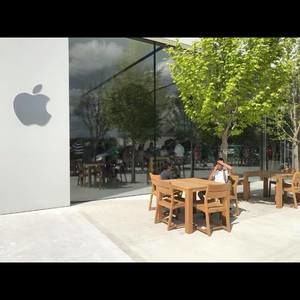 Meet your Posher, Genaro